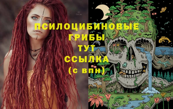 МДПВ Володарск