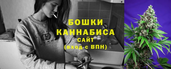apvp Вязьма