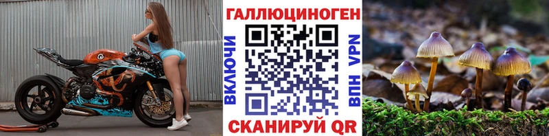 Галлюциногенные грибы Cubensis Верхний Тагил
