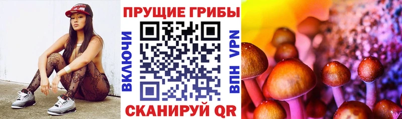 где купить наркоту  Верхний Тагил  Псилоцибиновые грибы Psilocybe 